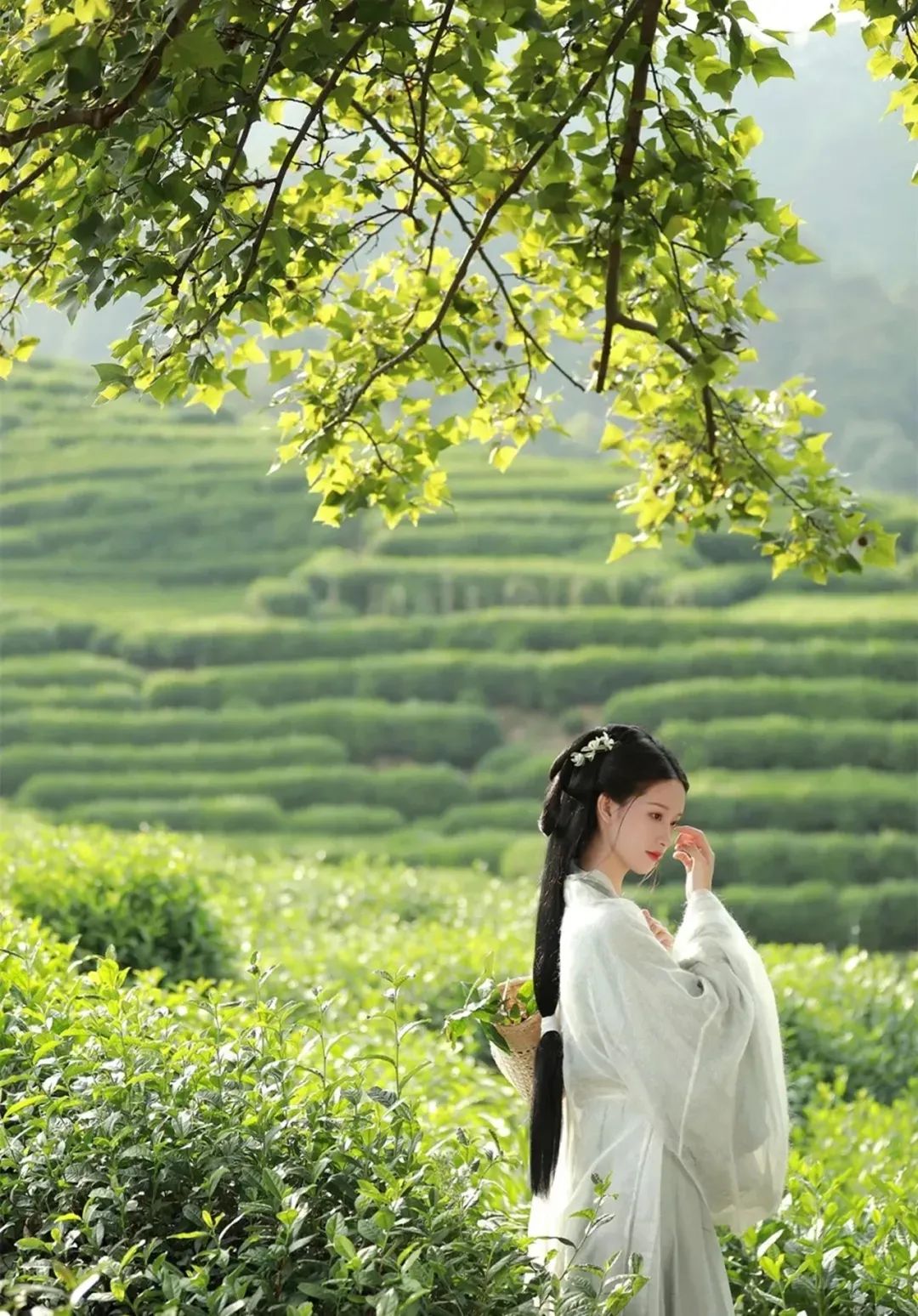 汉服颂 | 度雪妄人：随心移字花笺染，信手拨弦绮韵生