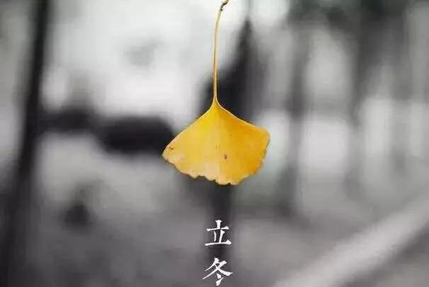 立冬来了，你捂暖了吗？