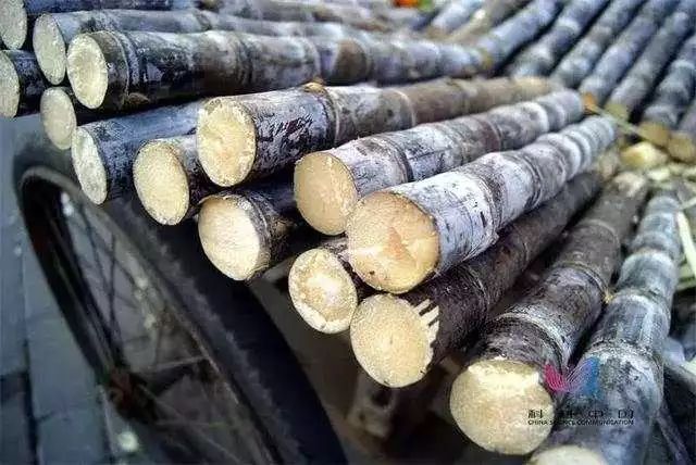 立冬来了，你捂暖了吗？