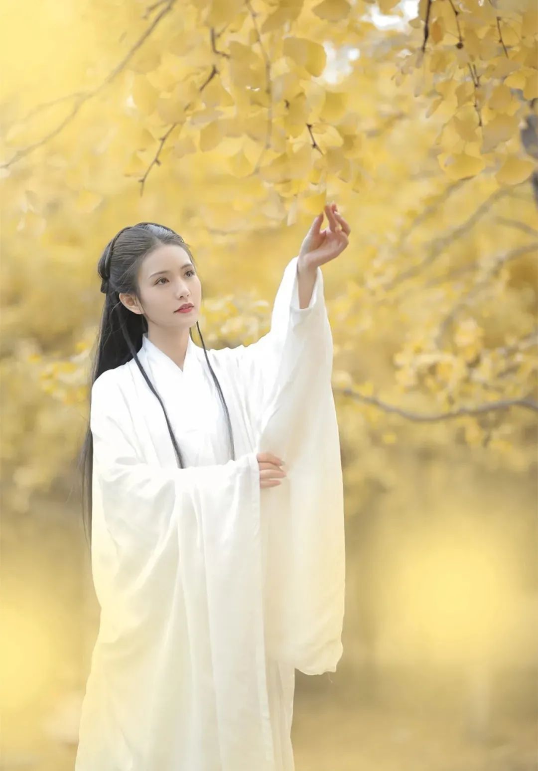 汉服颂 | 章台柳赋年华好,一斛珠吟风雅多 汉服颂 | 章台柳赋年华好,一斛珠吟风雅多