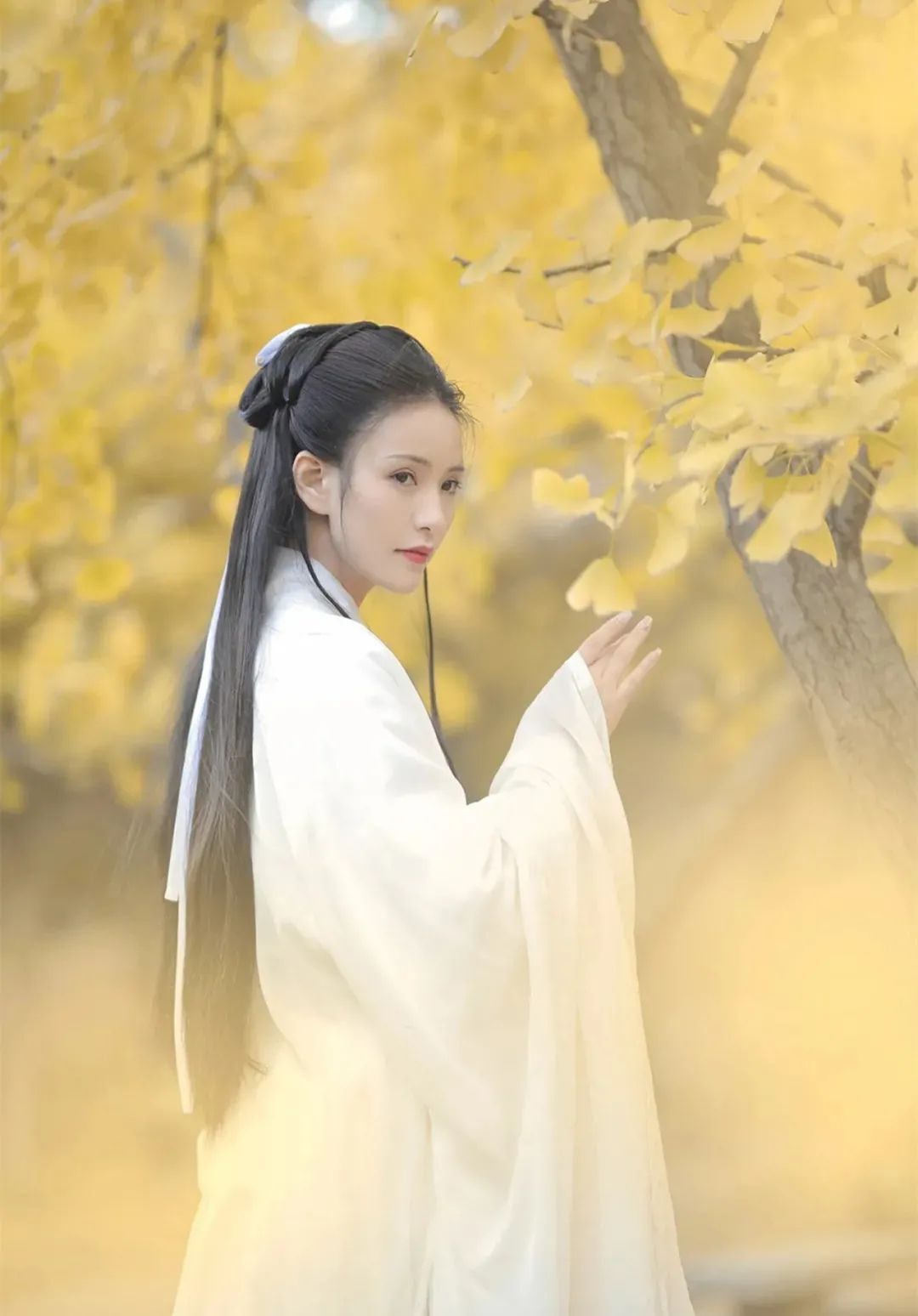 汉服颂 | 章台柳赋年华好,一斛珠吟风雅多 汉服颂 | 章台柳赋年华好,一斛珠吟风雅多