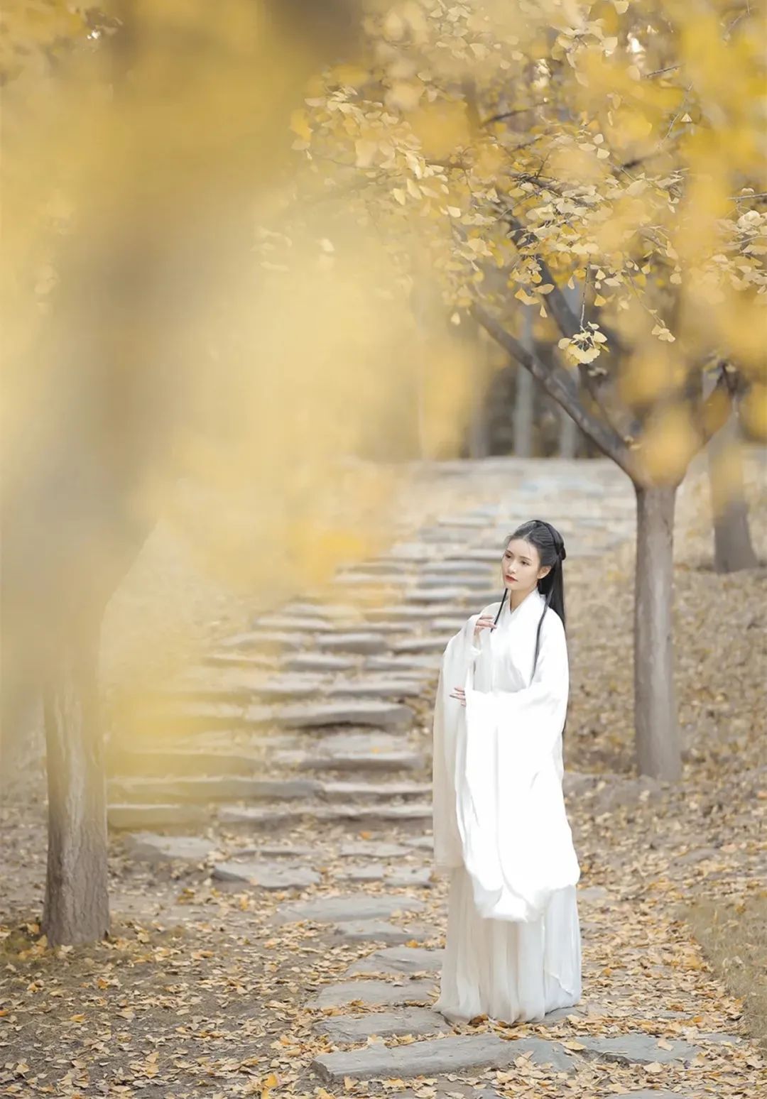 汉服颂 | 章台柳赋年华好,一斛珠吟风雅多 汉服颂 | 章台柳赋年华好,一斛珠吟风雅多