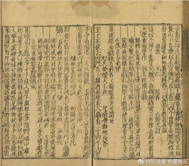 【梅雪笔记】关于褙子的一些文献与想法 【梅雪笔记】关于褙子的一些文献与想法