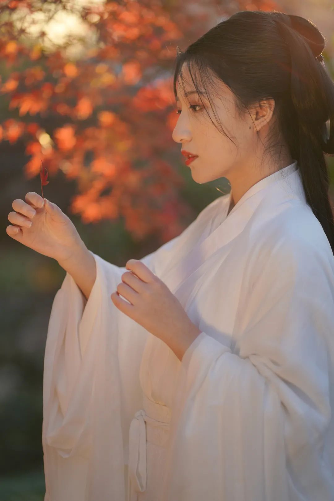 赏秋