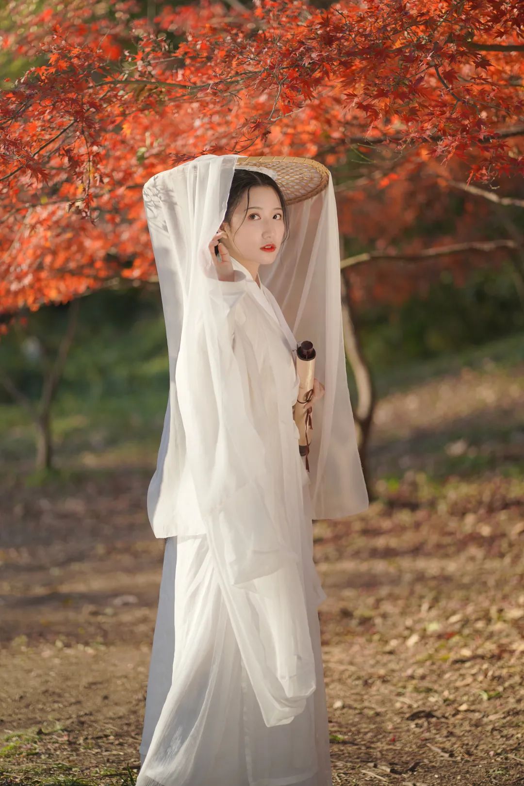 赏秋
