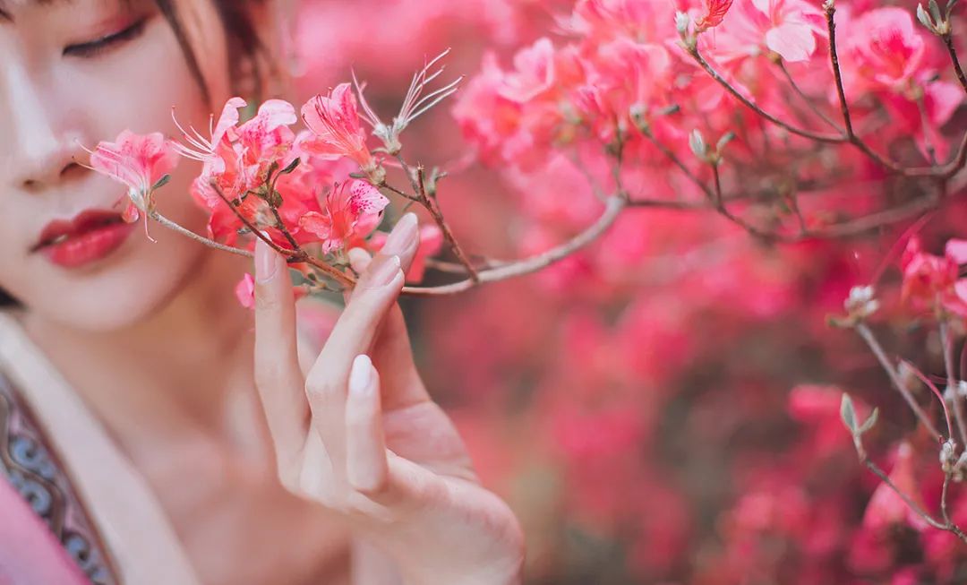 一路山花不负侬