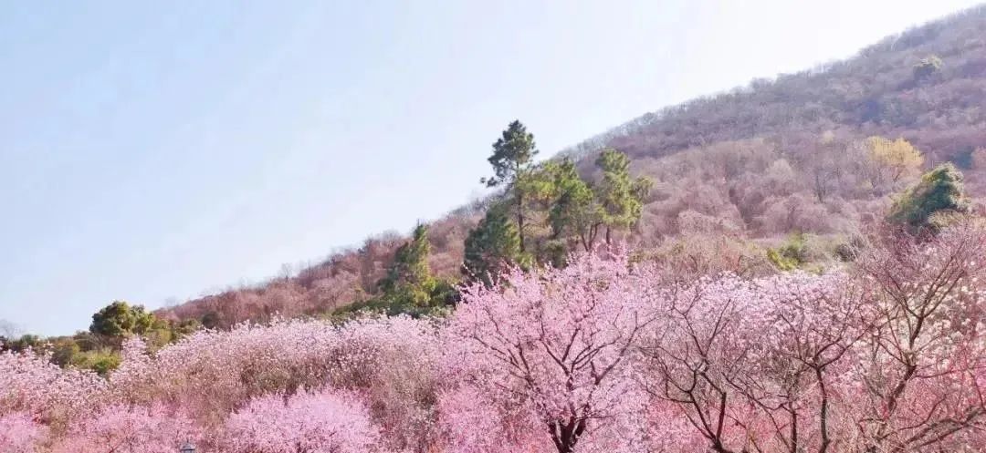 穿汉服免费入园系列--2022年春节期间各地景点开展穿汉服免费入园活动！（二）