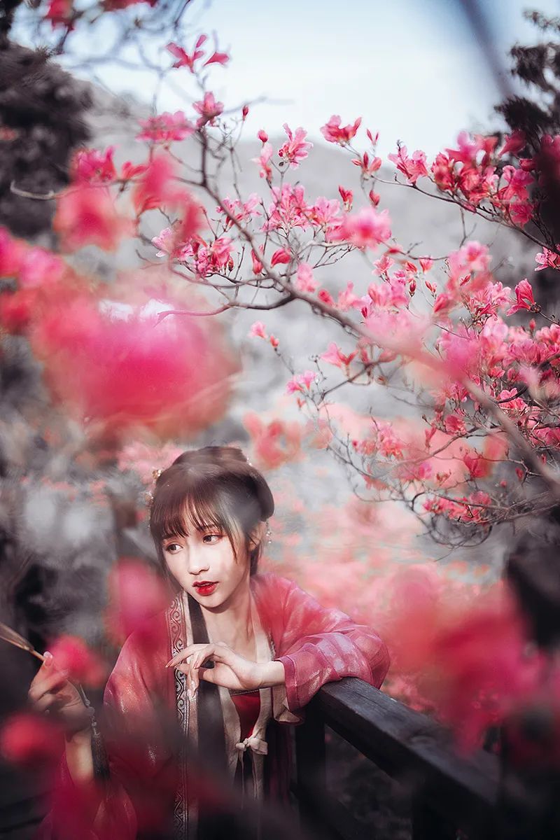 一路山花不负侬