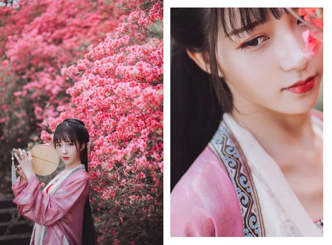 一路山花不负侬