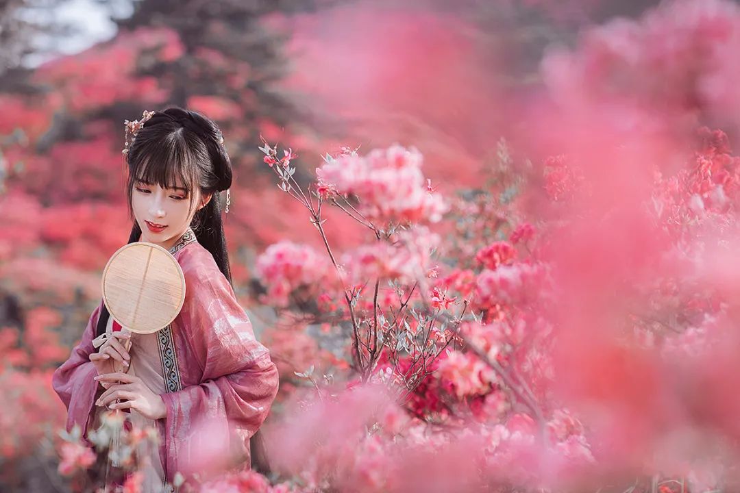 一路山花不负侬