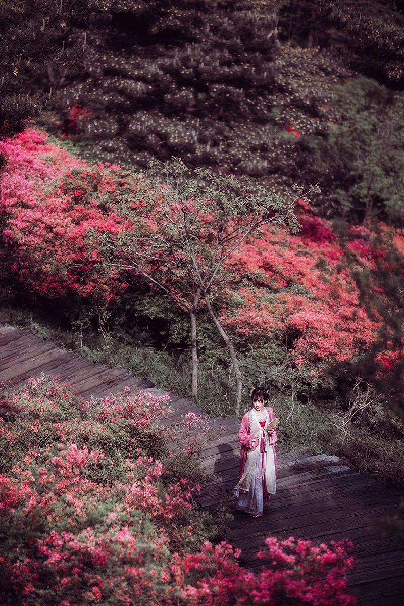 一路山花不负侬
