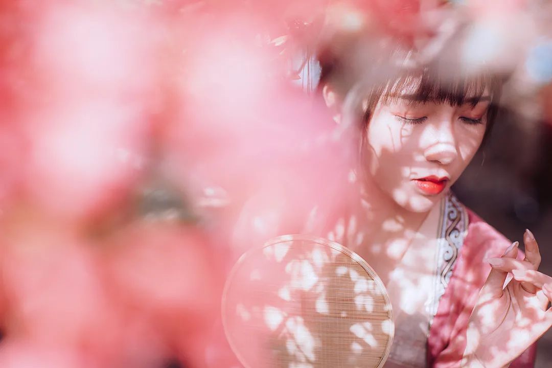 一路山花不负侬
