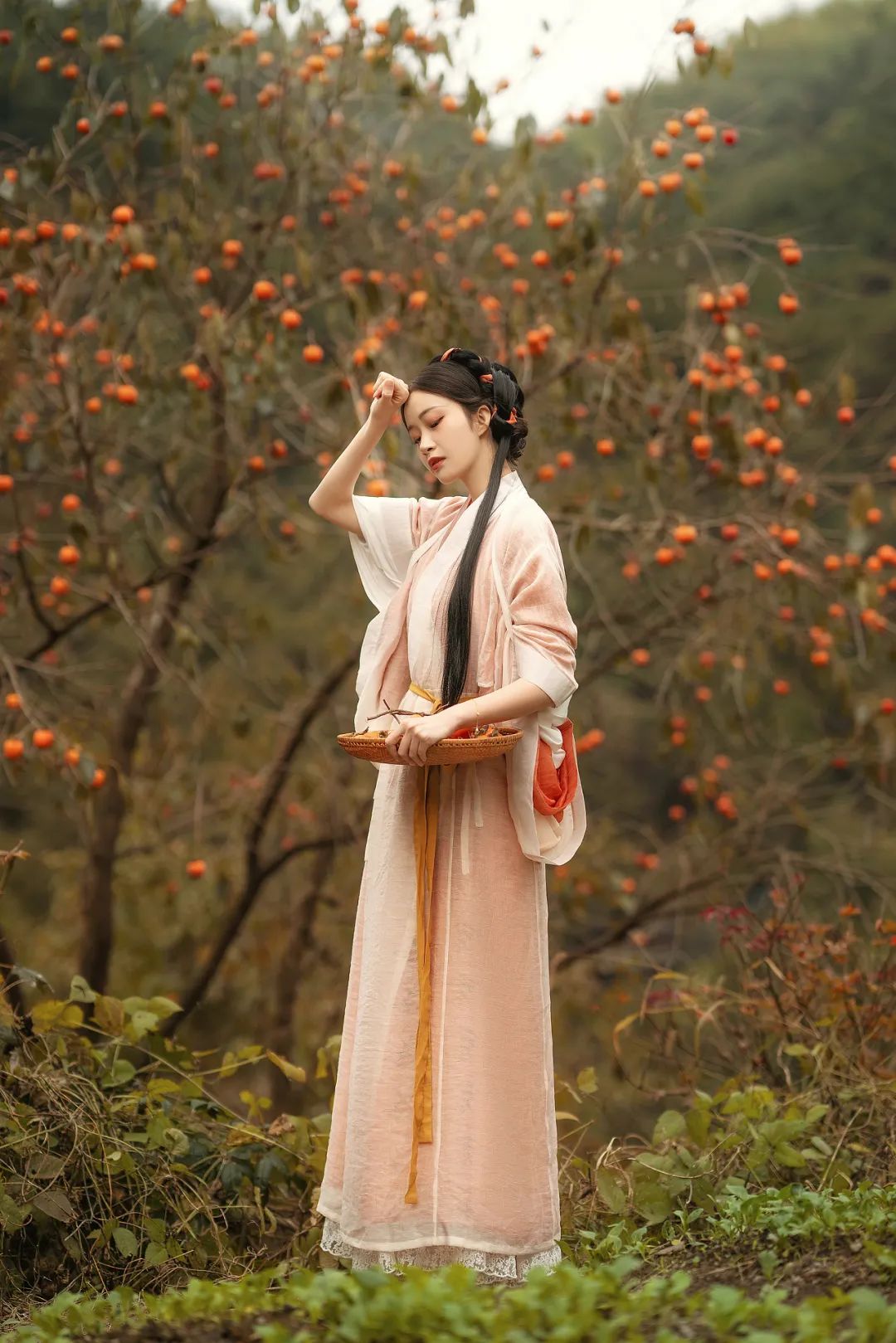 柿柿如意，柿柿平安