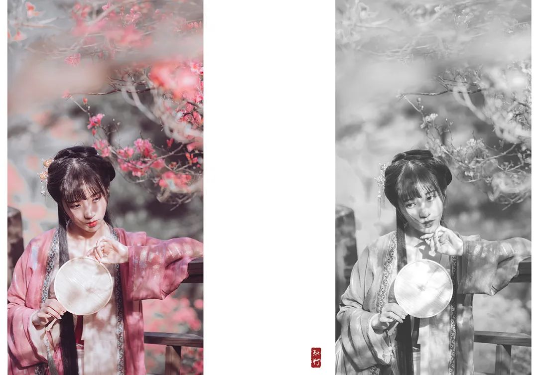 一路山花不负侬