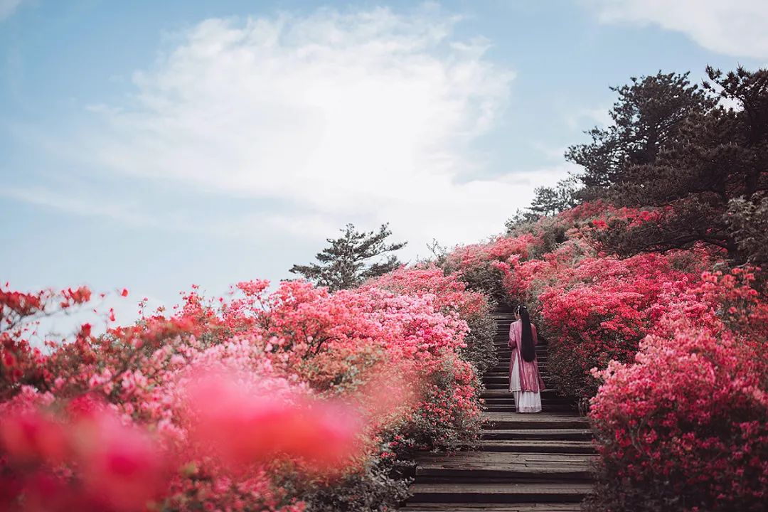 一路山花不负侬