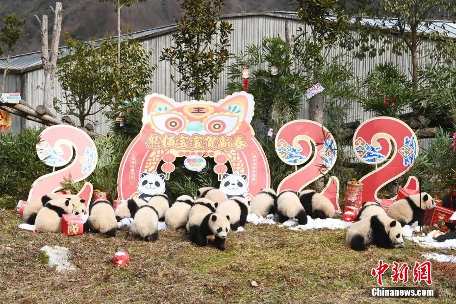 新闻早餐来了丨2022-1-27
