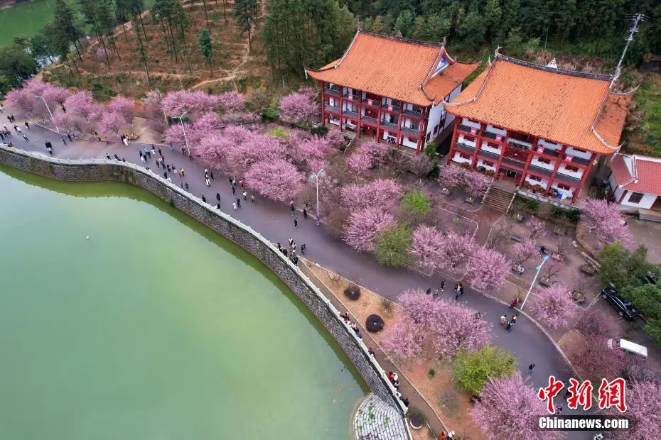 新闻早餐来了丨2022-1-24 新闻早餐来了丨2022-1-24