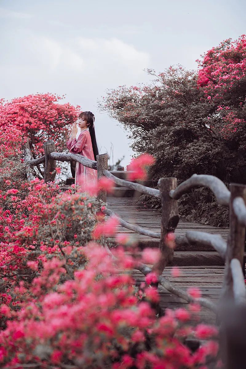 一路山花不负侬