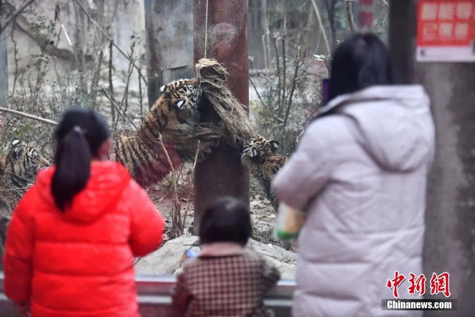 新闻早餐来了丨2022-1-26