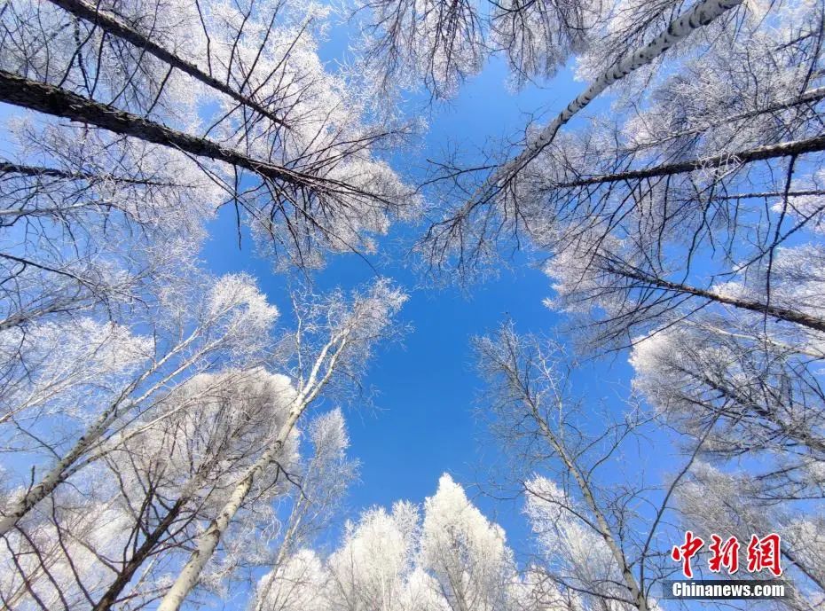 新闻早餐来了丨2022-2-12 新闻早餐来了丨2022-2-12