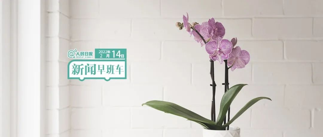 2022-2-14 新闻简讯