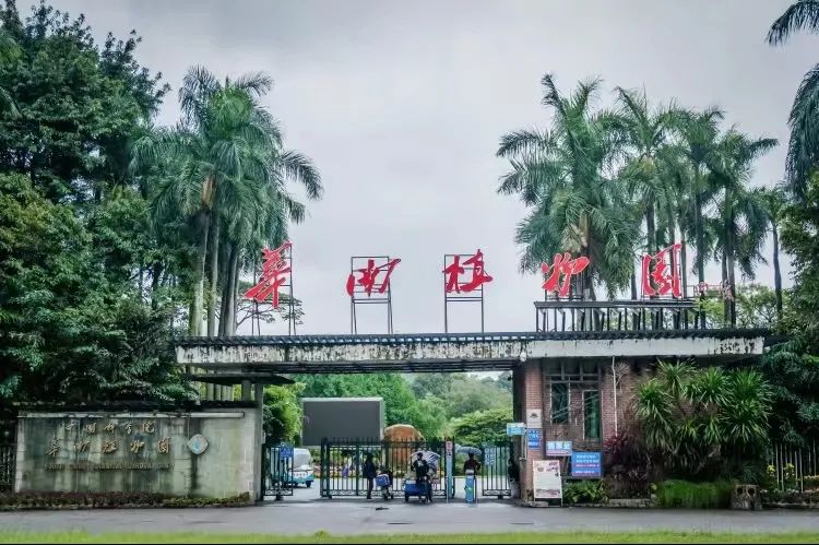 活动召集｜华南植物园同袍野餐小聚（0227）​