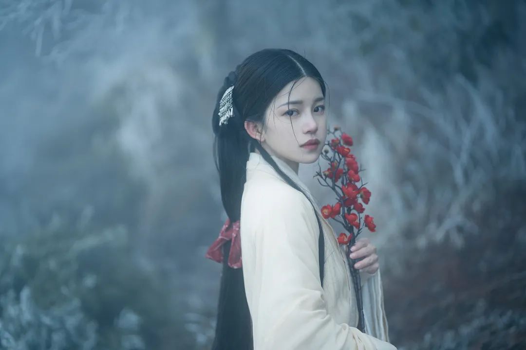 红梅白雪知