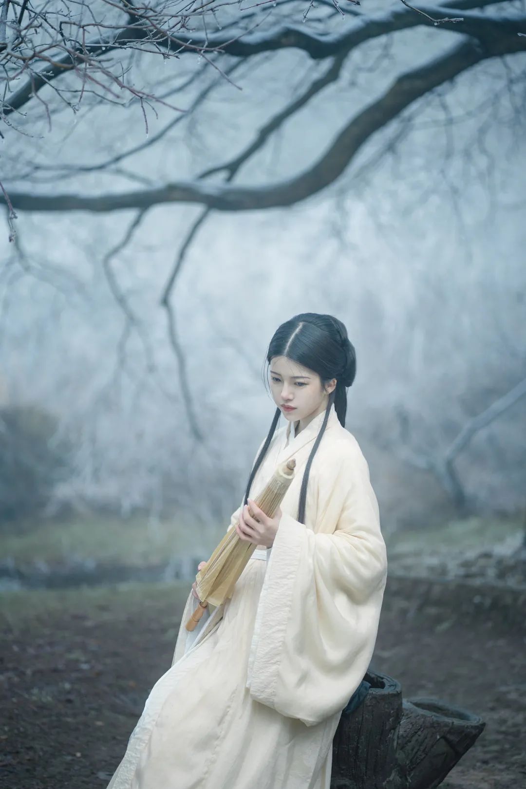 红梅白雪知