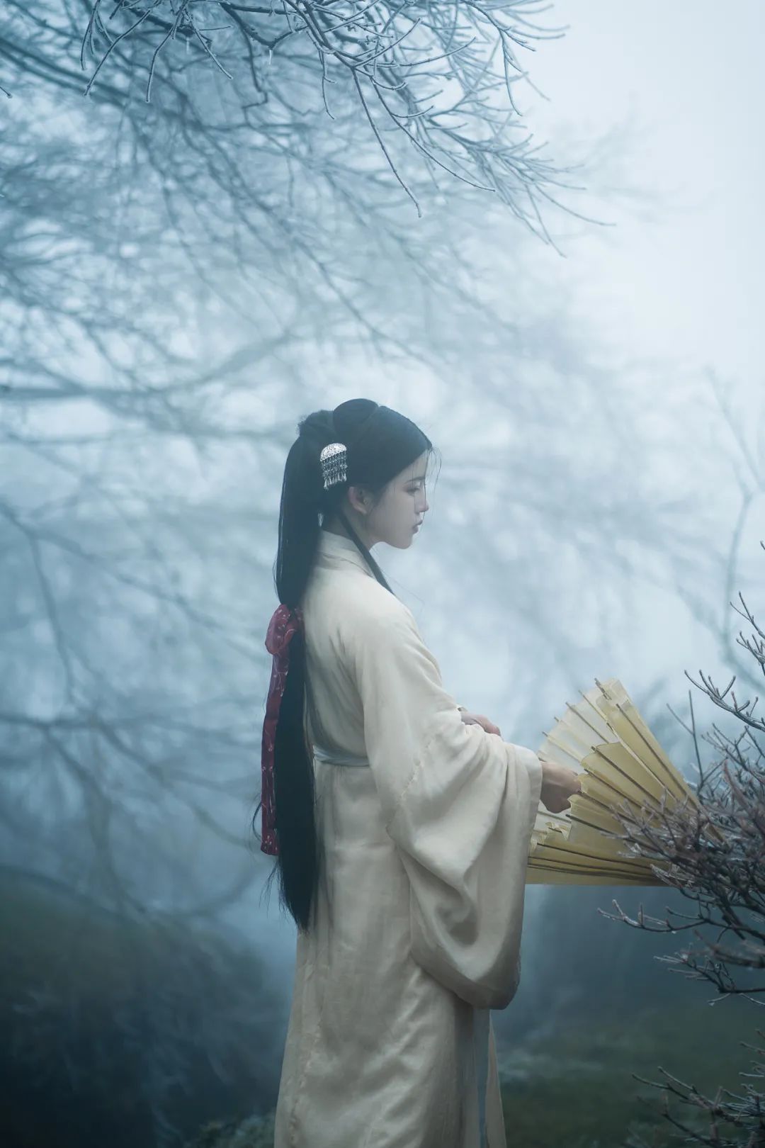 红梅白雪知