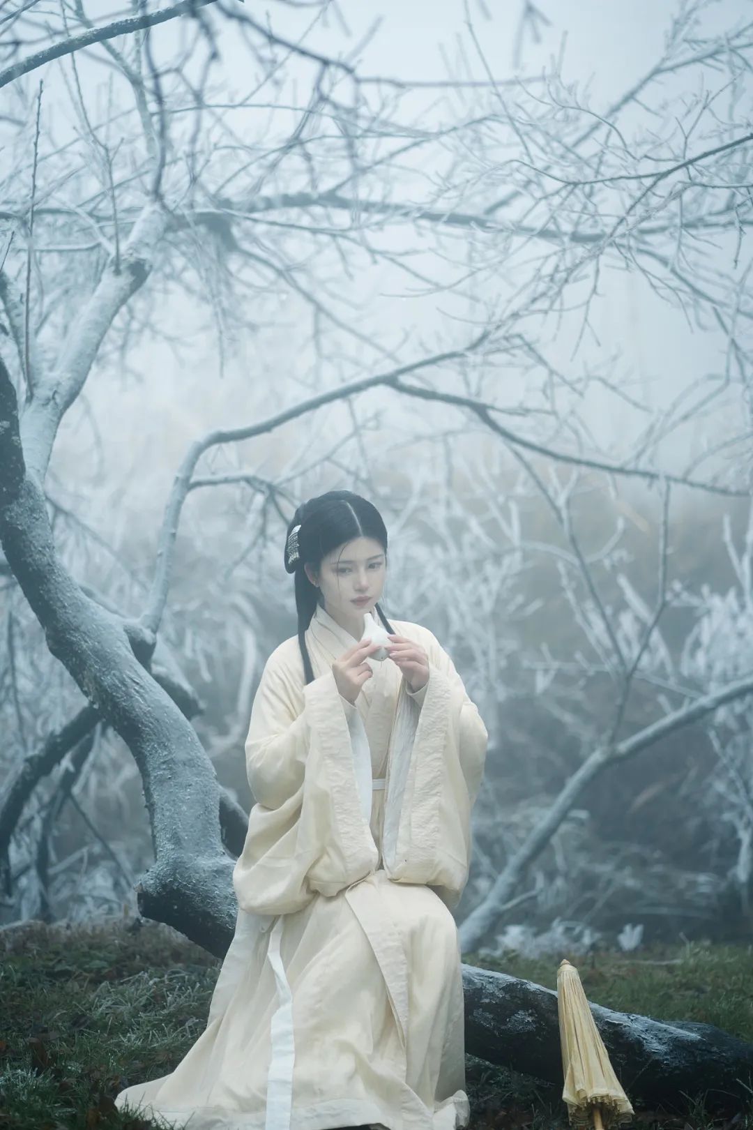 红梅白雪知