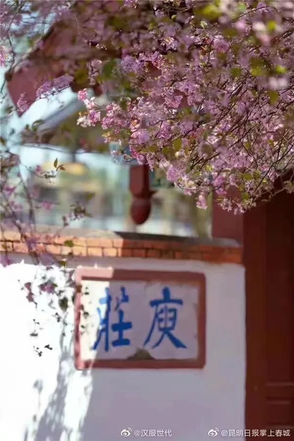 【汉服简讯】2022年3月7新闻资讯 【汉服简讯】2022年3月7新闻资讯