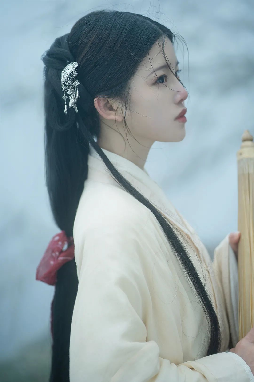 红梅白雪知