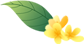 活动招募 | 中秋金铂&广汉有约——追月祈福、体验节日民俗、听琴观汉舞