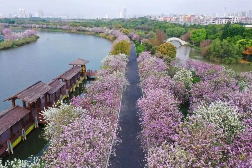想参加花朝节汉服活动么！​2023全国各地花朝节汉服活动召集汇总（二）！