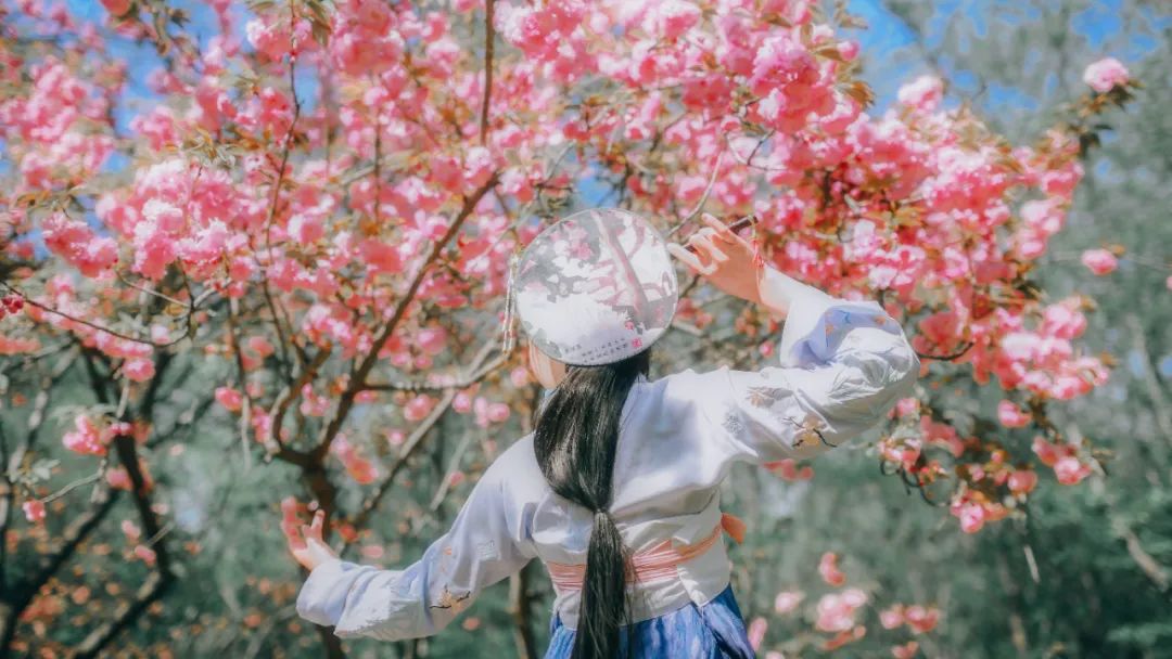 花朝节丨一个被世人遗忘的节日，却是一年中最美的日子