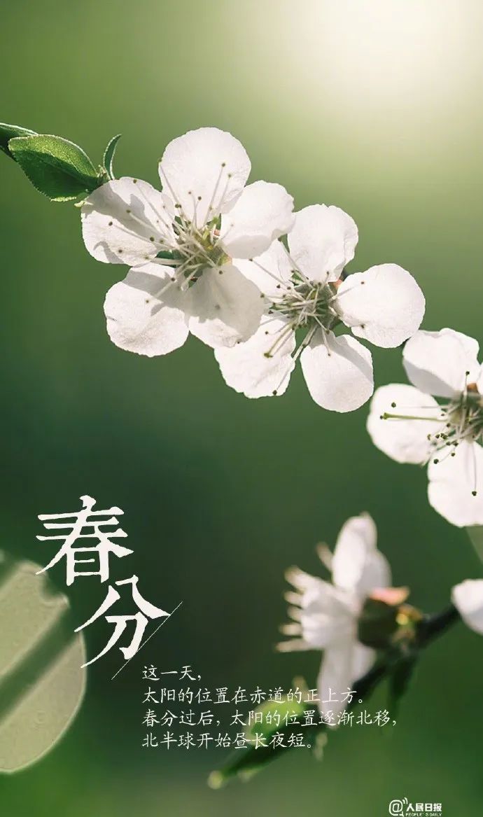 汉服颂 | 春分海燕从南至,日暖江鸿尽北征 汉服颂 | 春分海燕从南至,日暖江鸿尽北征