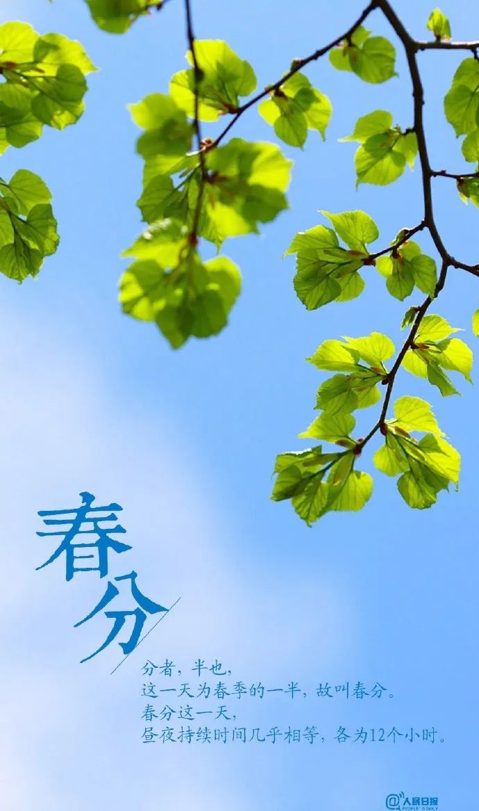 文学诗词 | 春分海燕从南至，日暖江鸿尽北征
