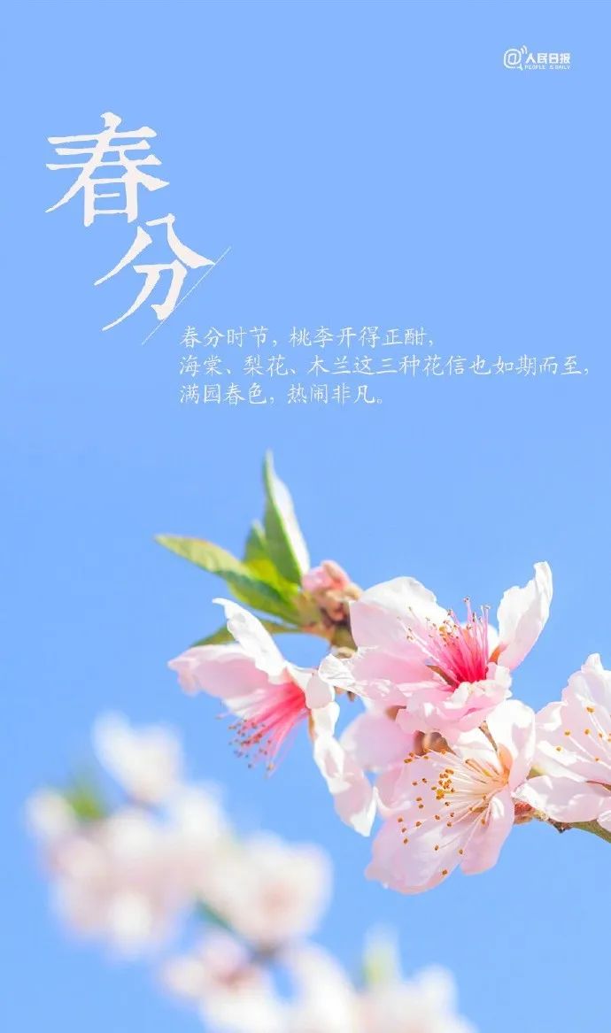 汉服颂 | 春分海燕从南至,日暖江鸿尽北征 汉服颂 | 春分海燕从南至,日暖江鸿尽北征