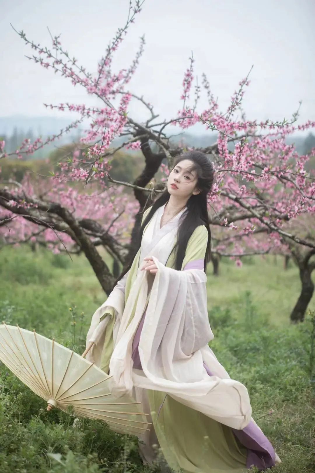 十二“花神”齐聚！西溪花朝节将至，汉服巡游招募开启！