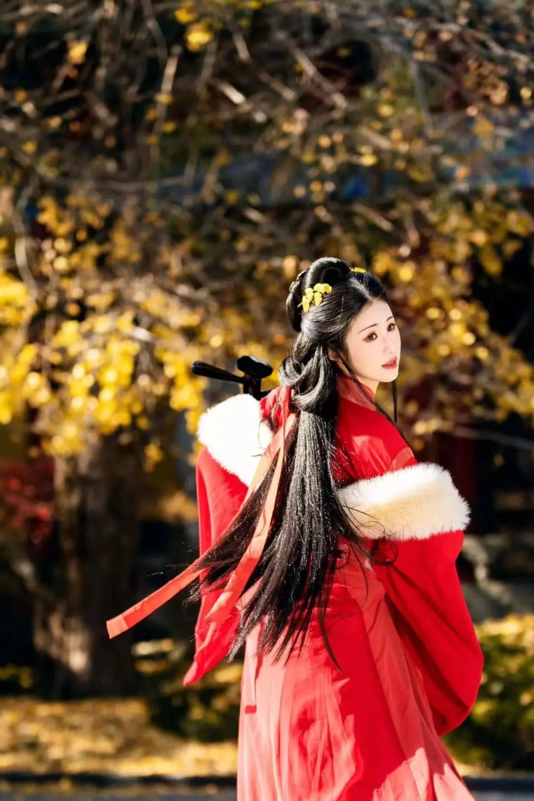十二“花神”齐聚！西溪花朝节将至，汉服巡游招募开启！