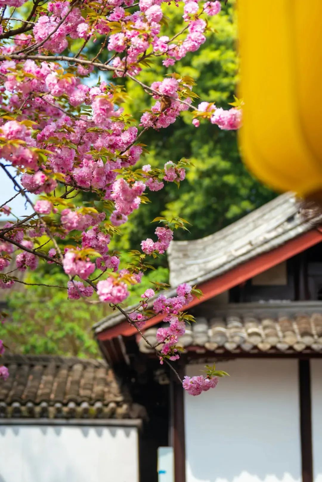 太仙了!原来汉服同袍都爱去这些地方→ 太仙了!原来汉服同袍都爱去这些地方→