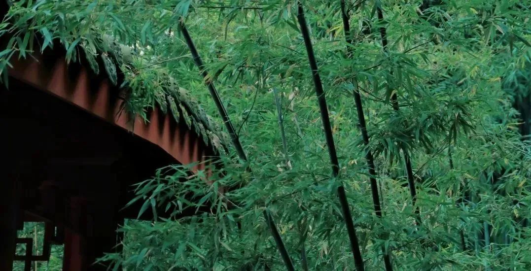 太仙了！原来汉服同袍都爱去这些地方→
