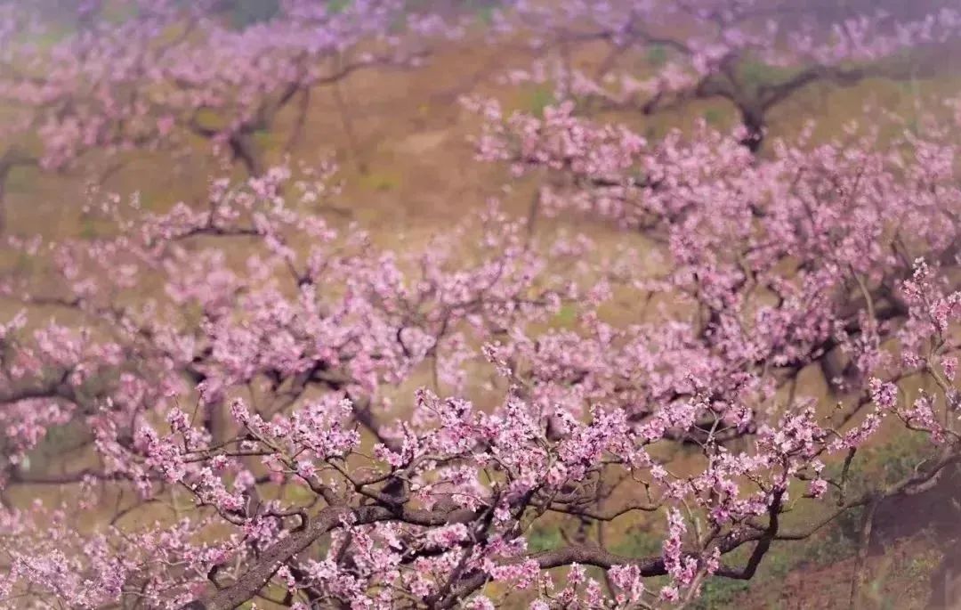 太仙了!原来汉服同袍都爱去这些地方→ 太仙了!原来汉服同袍都爱去这些地方→