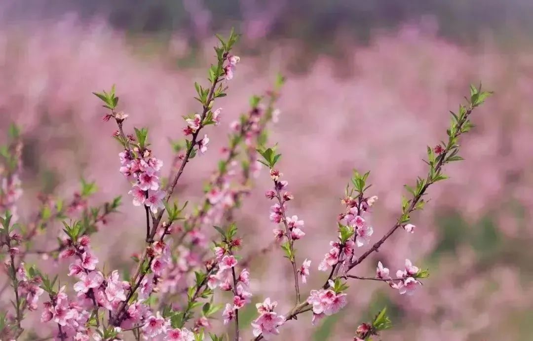 太仙了！原来汉服同袍都爱去这些地方→