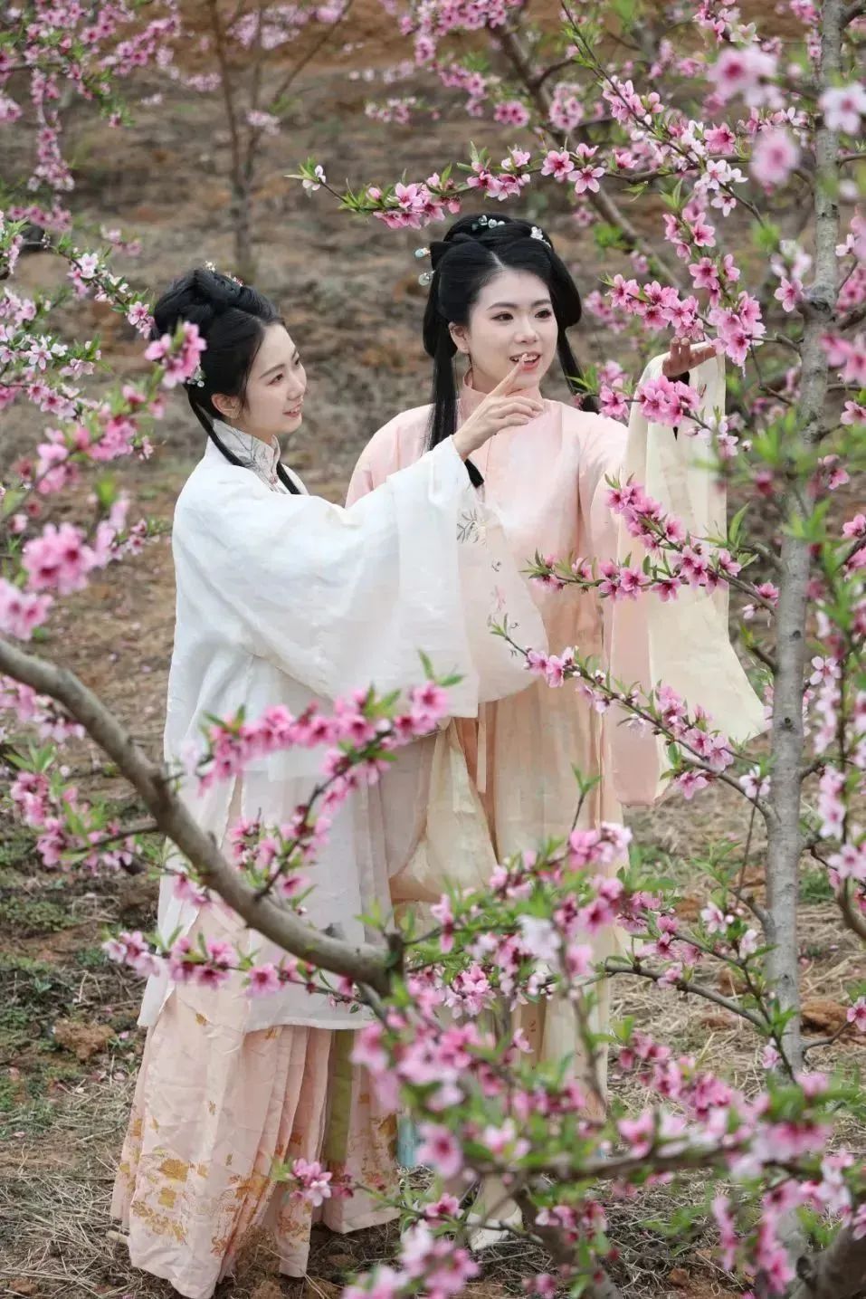 太仙了！原来汉服同袍都爱去这些地方→