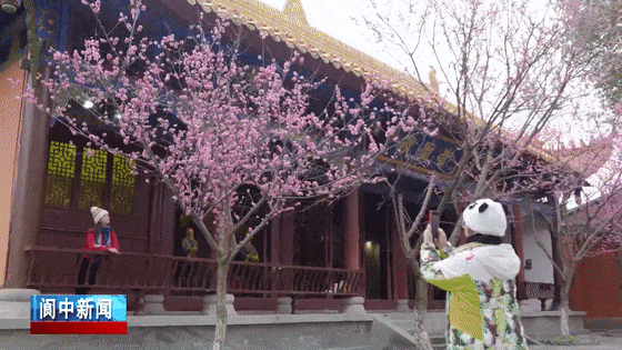 一城繁花正盛时~ 一城繁花正盛时~
