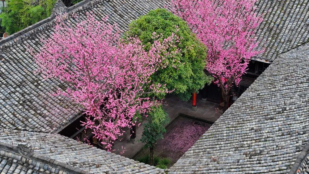 一城繁花正盛时~ 一城繁花正盛时~