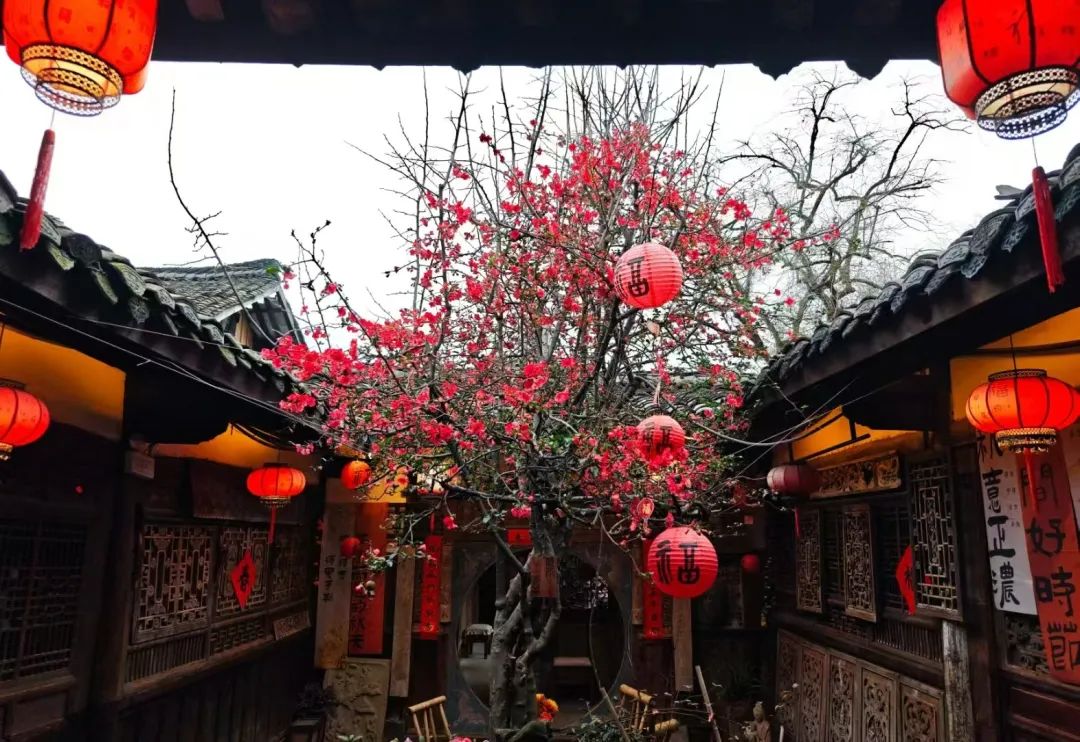 一城繁花正盛时~ 一城繁花正盛时~