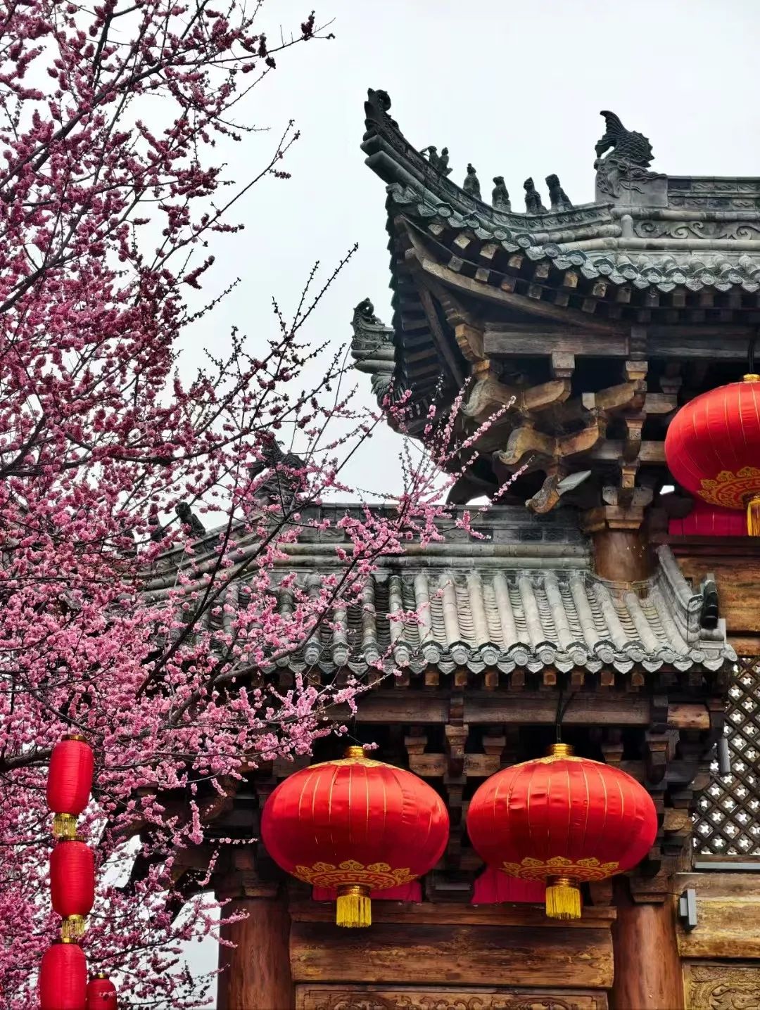 一城繁花正盛时~ 一城繁花正盛时~