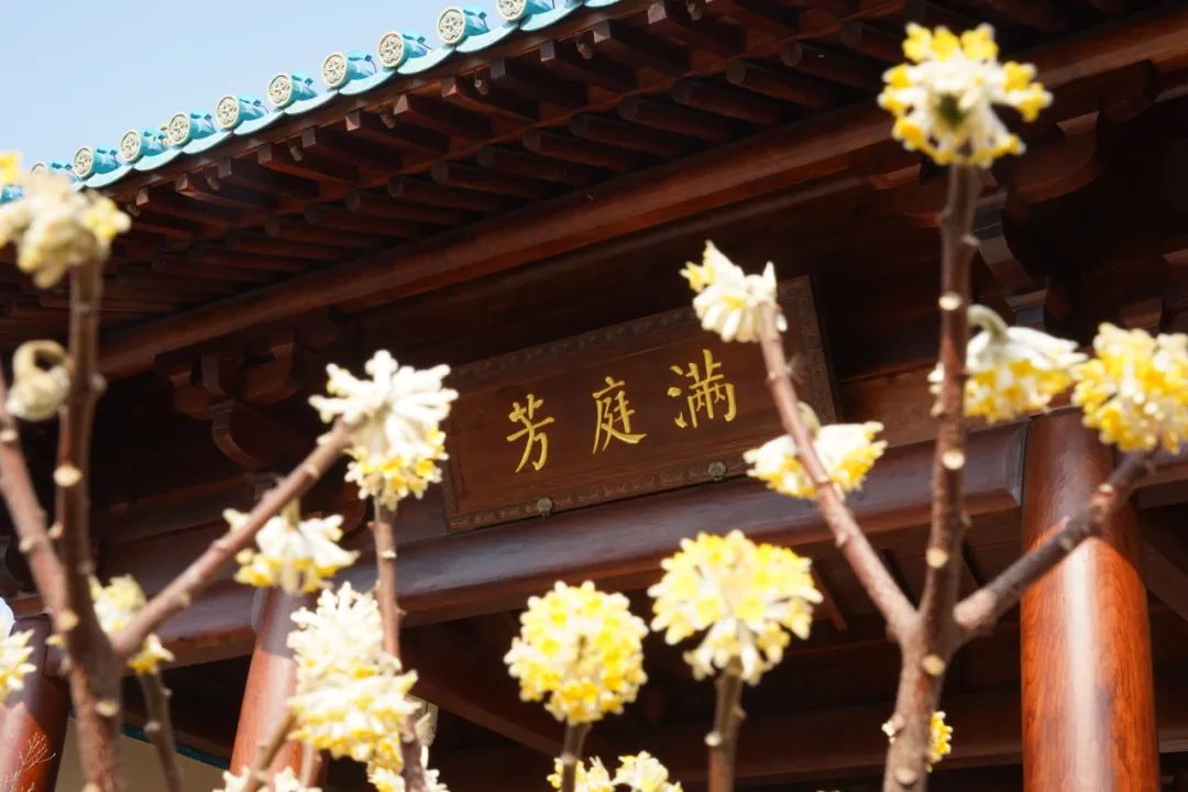 今天穿汉服来金陵小城也太应景了吧~ 今天穿汉服来金陵小城也太应景了吧~